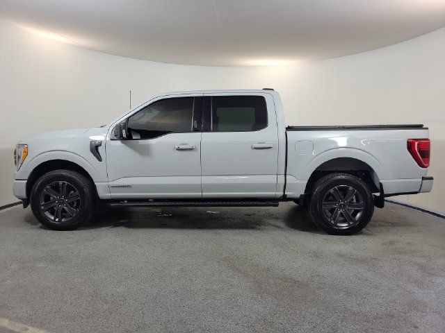 Used 2023 Ford F150 XLT w/ Equipment Group 302A High AWD/4WD image 4