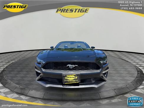 Used 2019 Ford Mustang Premium RWD image 2