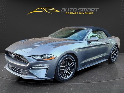 Used 2019 Ford Mustang Premium RWD image 2