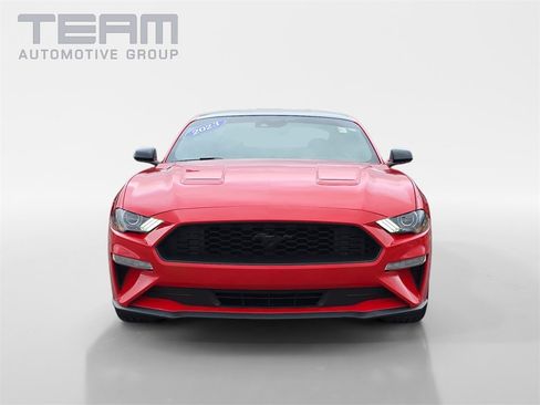 Used 2023 Ford Mustang Coupe w/ Equipment Group 101A image 2