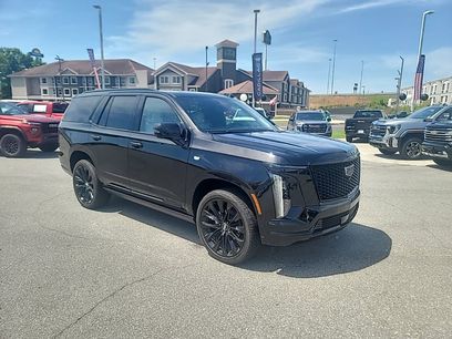 Certified 2026 Cadillac Escalade Platinum Sport w/ LPO, ONYX Package