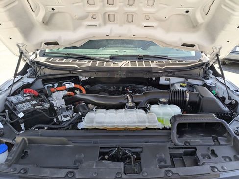 Used 2025 Ford F150 XLT w/ Equipment Group 301A Standard image 29