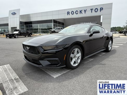 New 2026 Ford Mustang Coupe RWD image 1