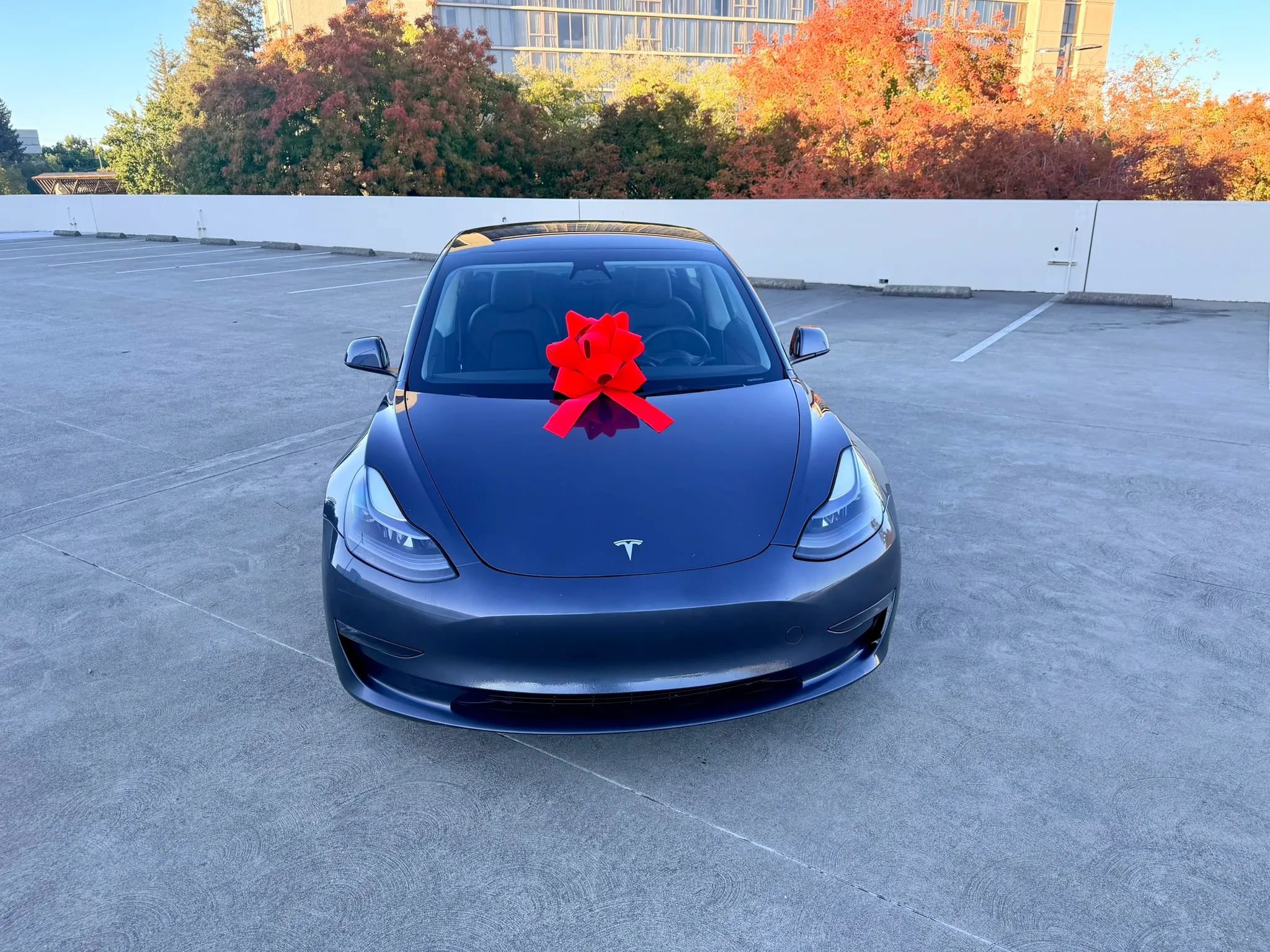 Used 2023 Tesla Model 3 Performance AWD/4WD image 6