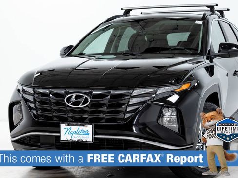 Used 2022 Hyundai Tucson Blue AWD/4WD image 2