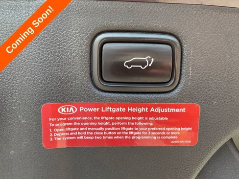 Used 2018 Kia Sedona SX Limited FWD image 34