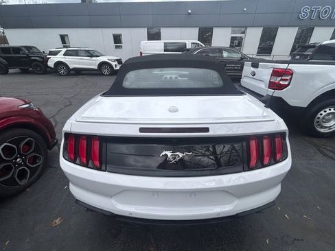 Used 2023 Ford Mustang Premium w/ Equipment Group 201A image 6