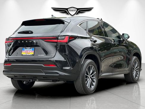 Used 2024 Lexus NX 250 FWD w/ Cold Area Package image 4