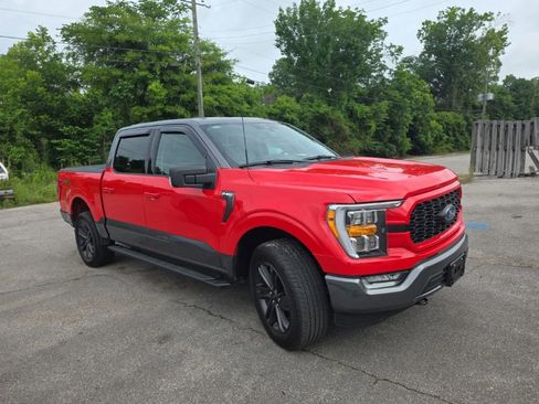 Used 2023 Ford F150 XLT w/ Equipment Group 302A High AWD/4WD image 3