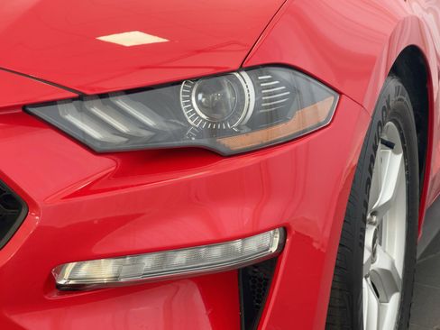 Used 2019 Ford Mustang Coupe image 11