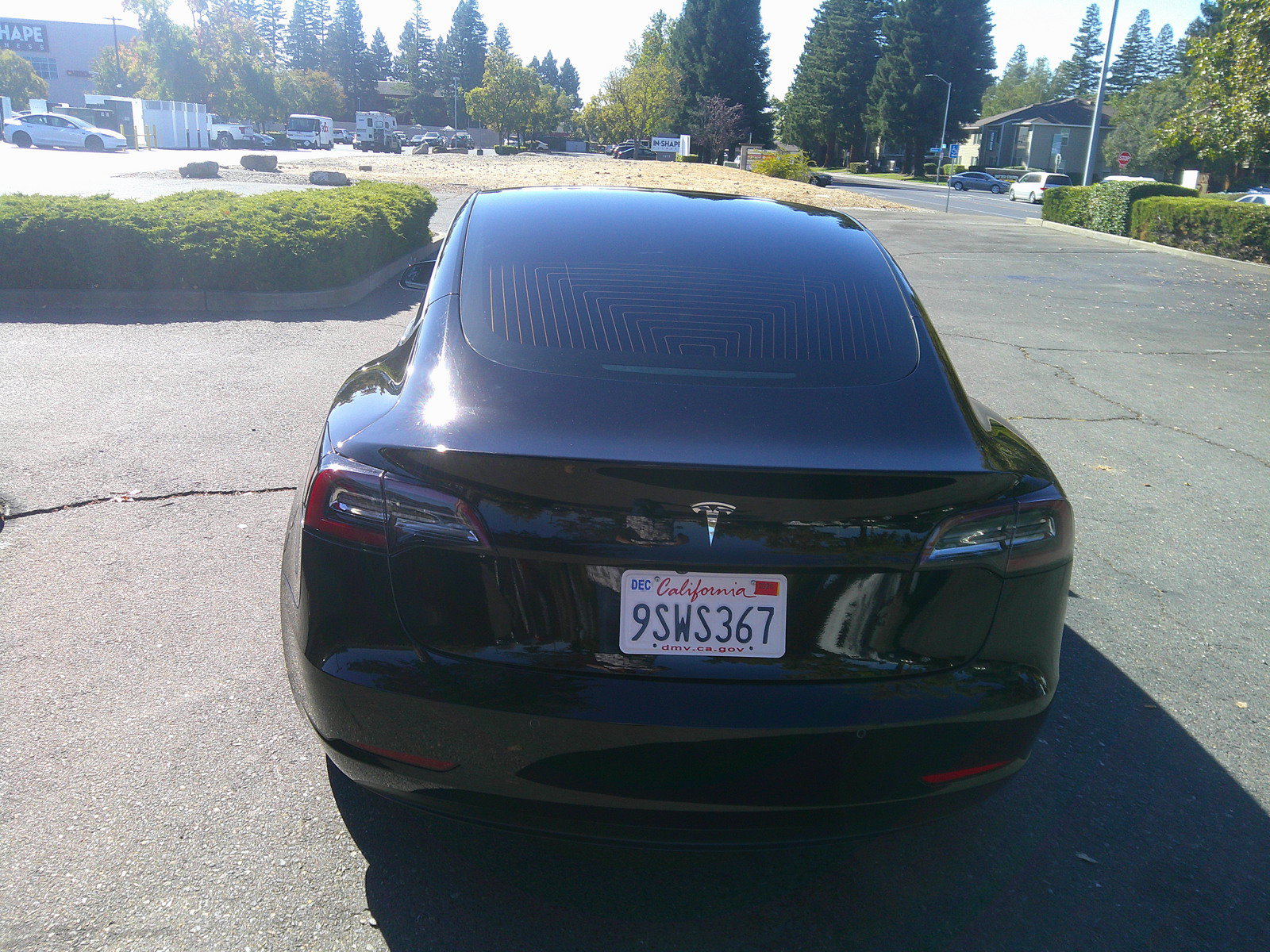 Used 2020 Tesla Model 3 Standard Range Plus RWD image 6