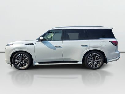 New 2027 INFINITI QX80 Luxe w/ Cargo Package