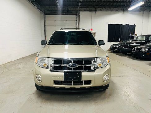 Used 2010 Ford Escape XLT image 3