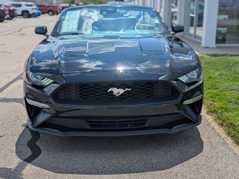 Used 2023 Ford Mustang Premium image 2