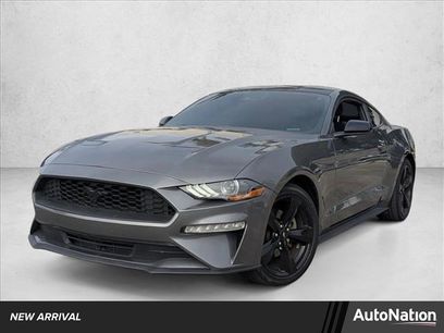 Used 2021 Ford Mustang EcoBoost w/ Equipment Group 101A