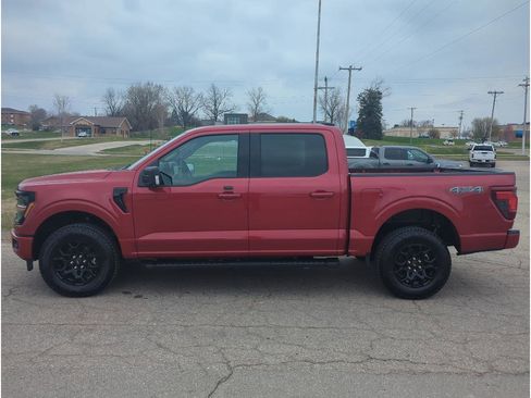 New 2025 Ford F150 XLT w/ Equipment Group 302A MID image 4