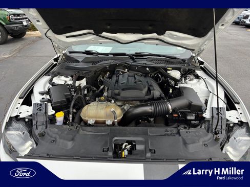 Used 2019 Ford Mustang Premium image 20