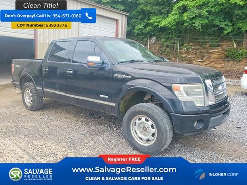 Used 2013 Ford F150 Platinum AWD/4WD image 5
