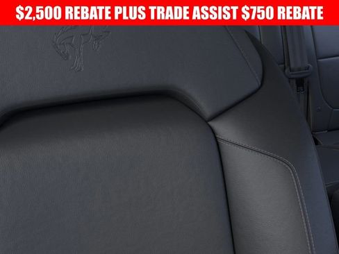 New 2025 Ford Bronco Badlands image 18