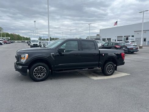 Used 2023 Ford F150 XLT w/ Equipment Group 302A High AWD/4WD image 1