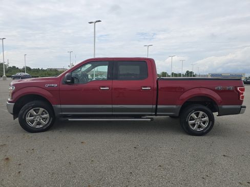 Used 2019 Ford F150 XLT w/ Equipment Group 302A Luxury AWD/4WD image 12