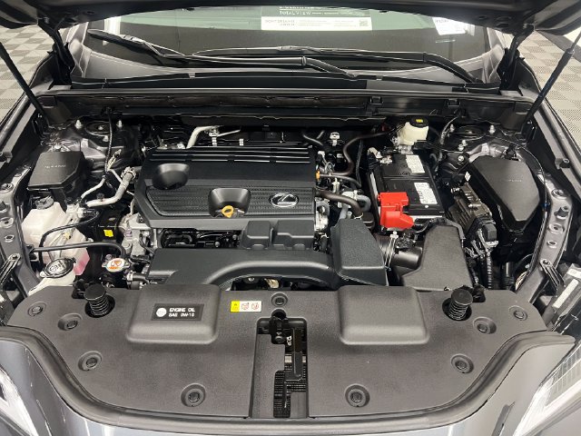 Certified 2024 Lexus NX 250 FWD w/ Cold Area Package image 23