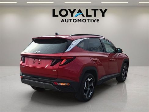 Used 2023 Hyundai Tucson Limited image 5
