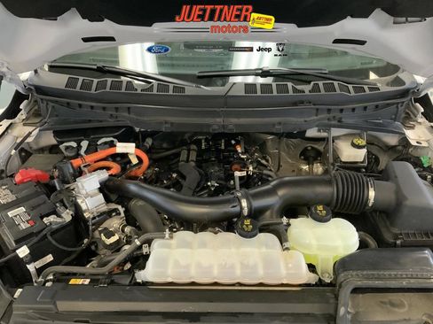 Used 2024 Ford F150 King Ranch AWD/4WD image 4