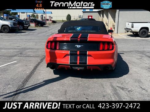 Used 2016 Ford Mustang Premium RWD image 5