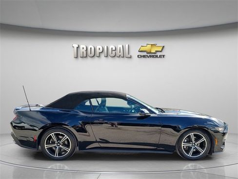 Used 2025 Ford Mustang Premium image 6