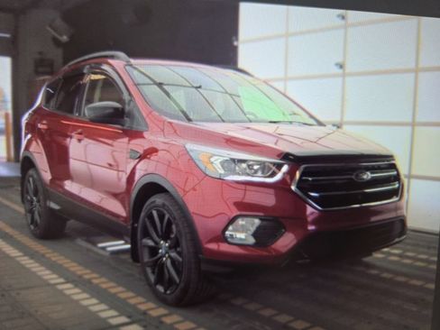 Used 2019 Ford Escape SE w/ SE Sport Appearance Package AWD/4WD image 2