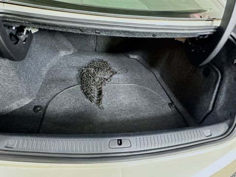 Used 2012 Cadillac CTS V w/ Wood Trim Package image 28