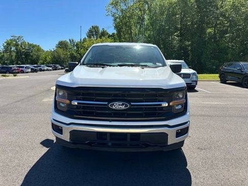 Used 2025 Ford F150 XLT w/ Equipment Group 301A Standard RWD image 2