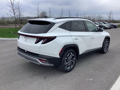 Used 2025 Hyundai Tucson Limited image 5