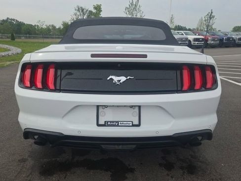 Used 2019 Ford Mustang Premium RWD image 14
