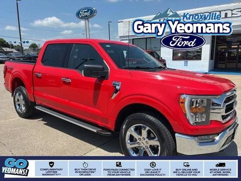 Used 2023 Ford F150 XLT w/ Equipment Group 302A High AWD/4WD image 1
