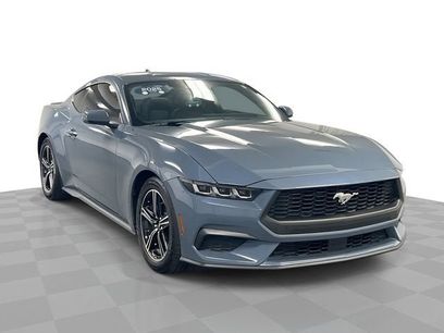 Used 2025 Ford Mustang Premium