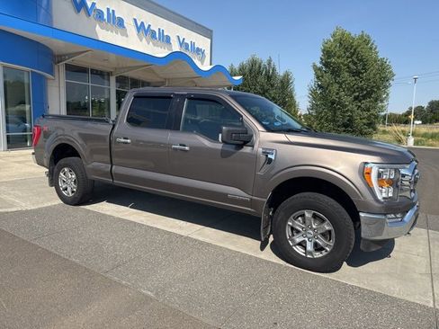 Used 2021 Ford F150 XLT w/ Equipment Group 302A High image 2