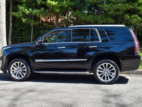 Used 2019 Cadillac Escalade Luxury image 4