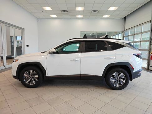 Used 2022 Hyundai Tucson Blue AWD/4WD image 6