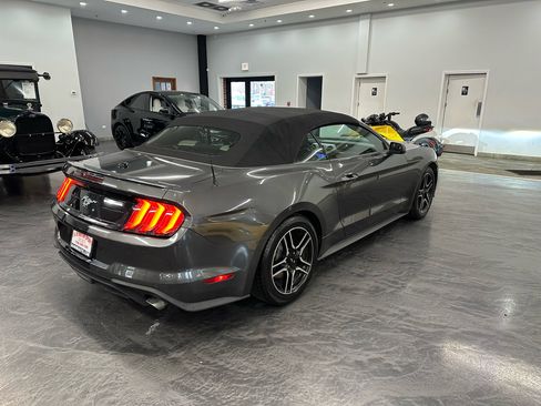 Used 2019 Ford Mustang Convertible w/ Equipment Group 101A image 5