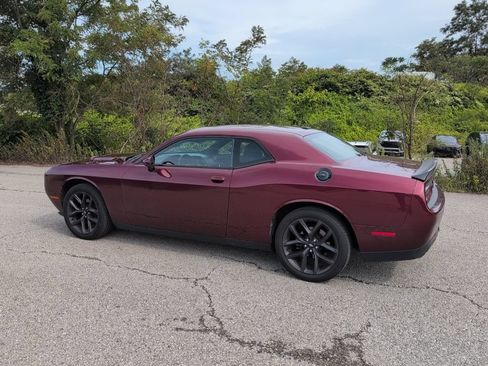 Used 2019 Dodge Challenger SXT w/ Blacktop Package RWD image 4