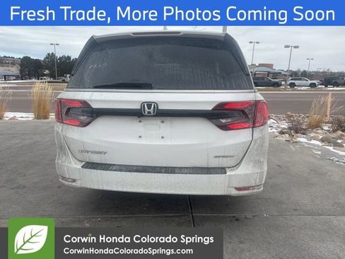 Used 2024 Honda Odyssey Sport image 4