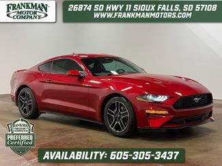 Used 2022 Ford Mustang Premium w/ Equipment Group 201A RWD video 1