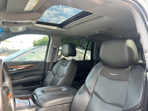 Used 2019 Cadillac Escalade Luxury AWD/4WD image 5