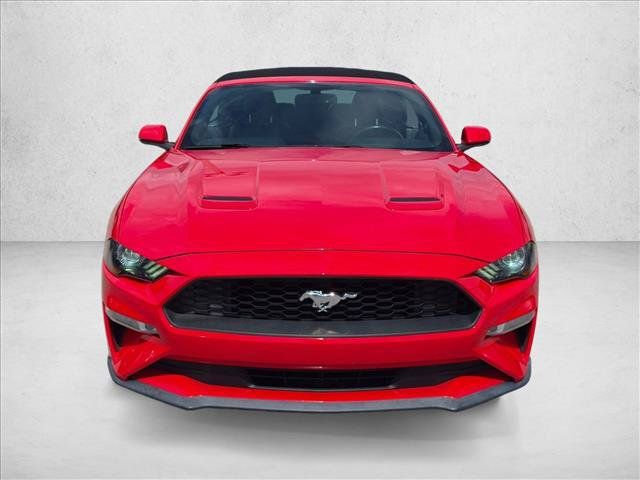 Used 2019 Ford Mustang Premium RWD image 2