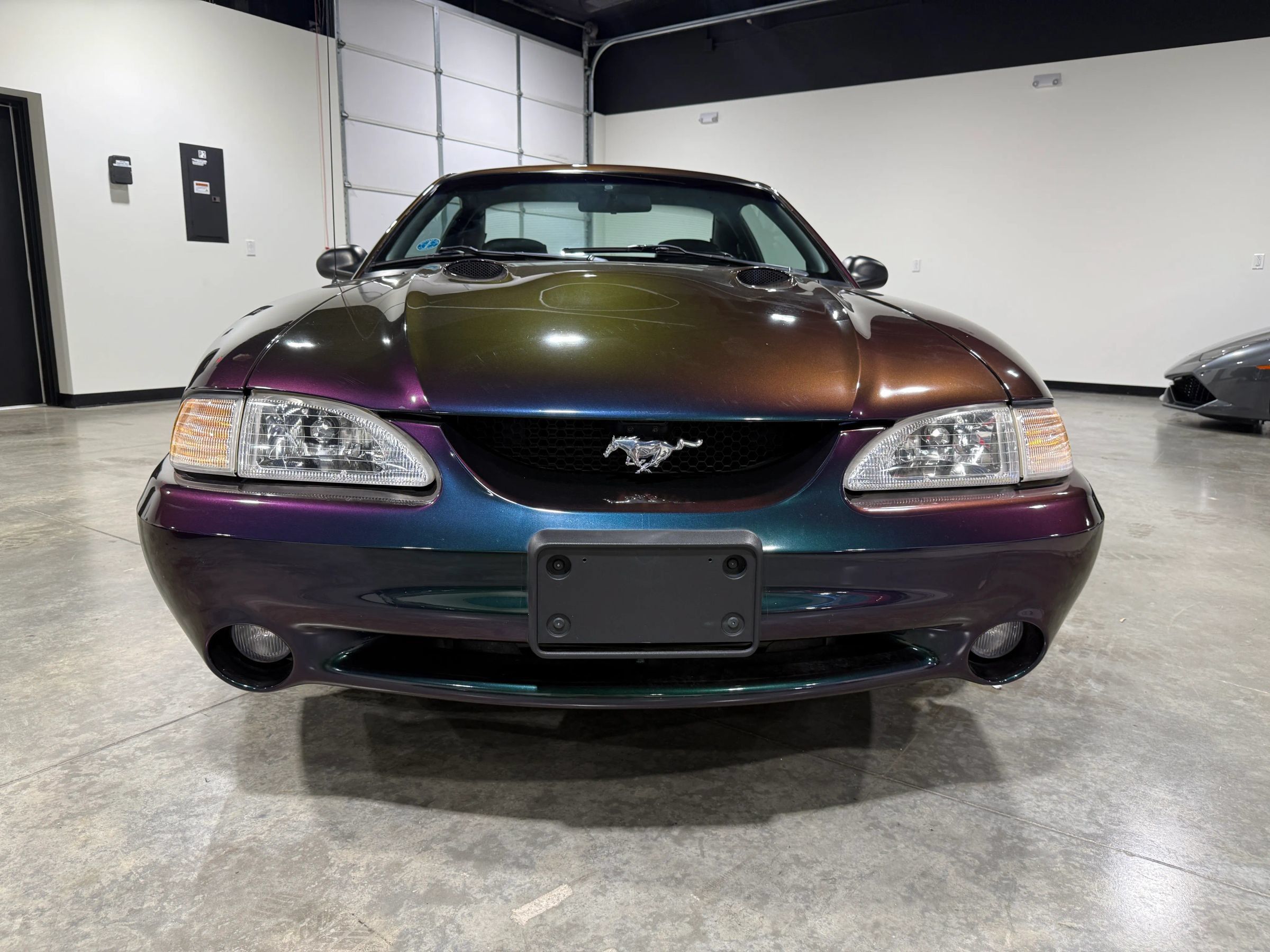 Used 1996 Ford Mustang Cobra RWD image 5