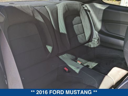 Used 2016 Ford Mustang Shelby GT350 image 15