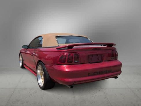 Used 1998 Ford Mustang Cobra RWD image 6