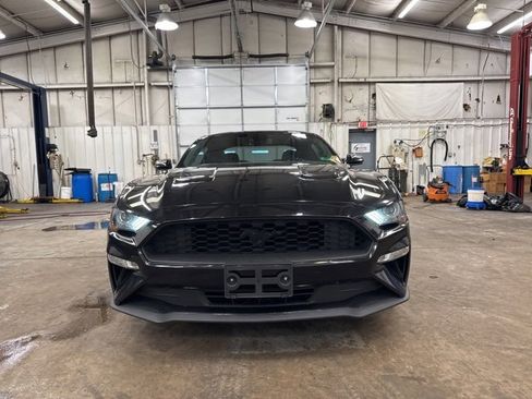 Used 2021 Ford Mustang Premium w/ Equipment Group 201A image 13